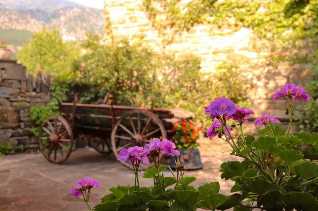 Avragonio Otel Papingo Dış mekan fotoğraf